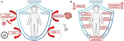 The Role of Immunobiotics and Postbiotics in the Recovery of Immune Cell Populations From Respiratory Mucosa of Malnourished Hosts: Effect on the Resistance Against Respiratory Infections